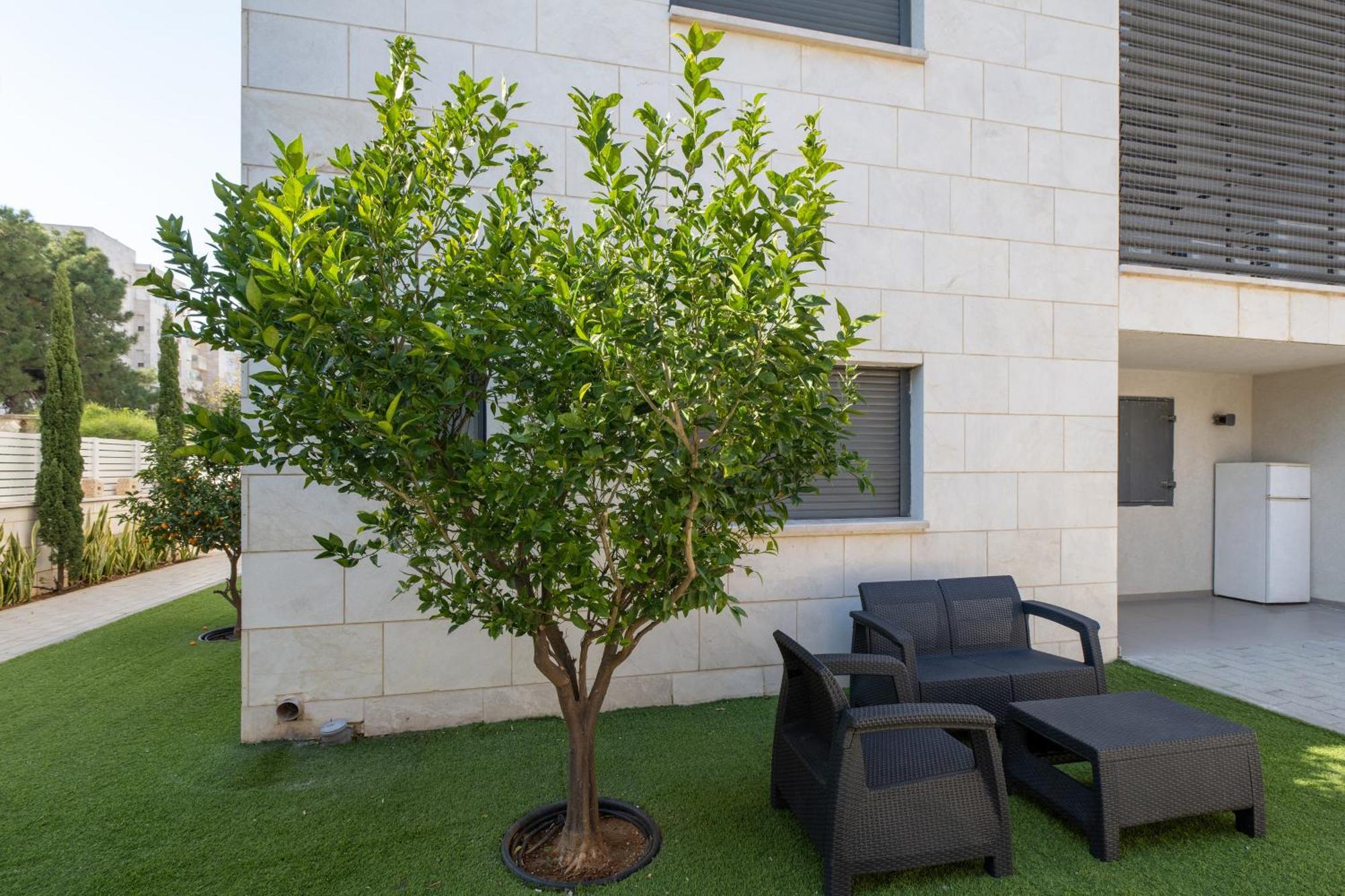 Balfour Sea View City Center Naharija Kültér fotó